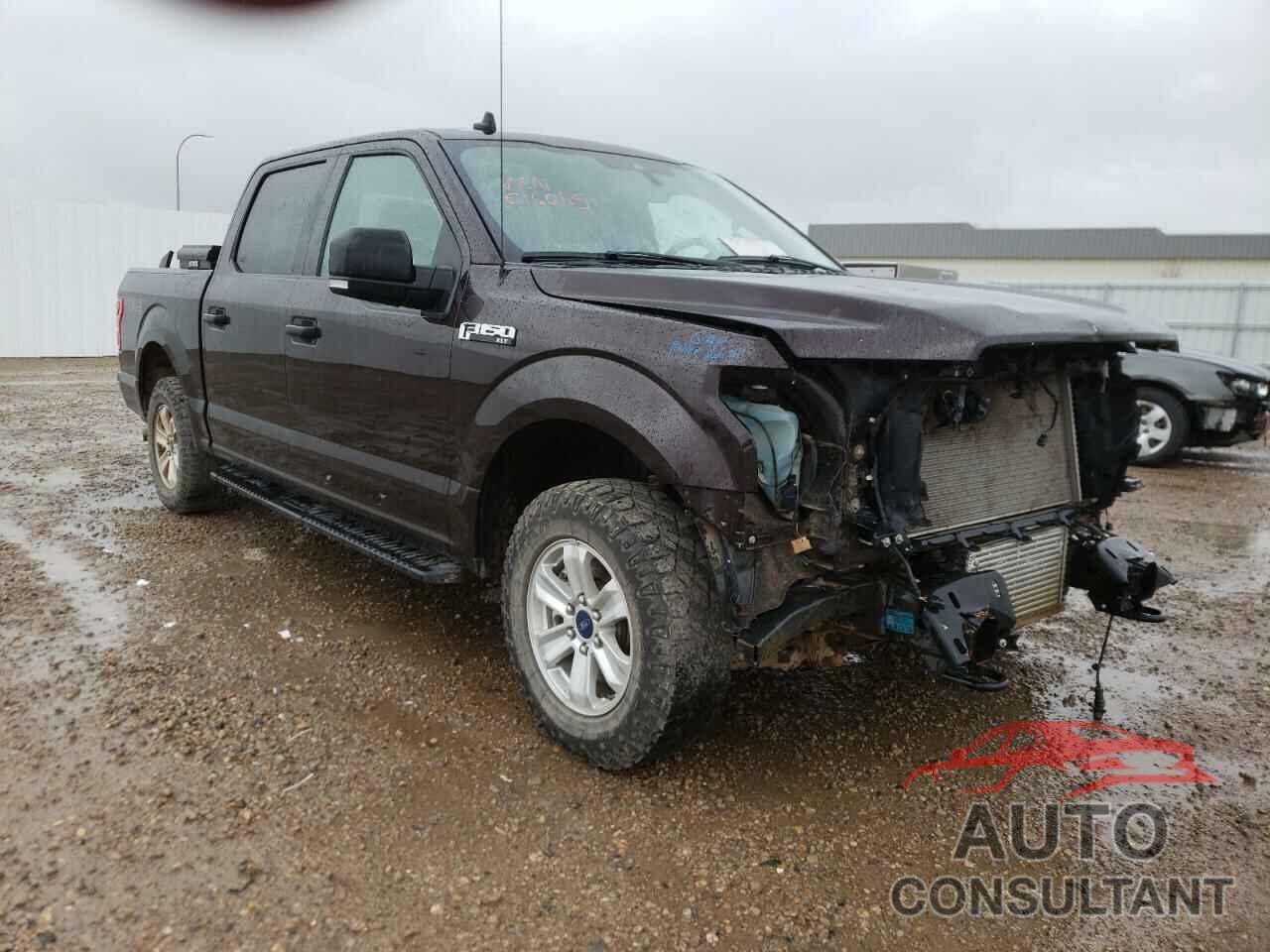 FORD F-150 2019 - 1FTEW1EP3KKE16695