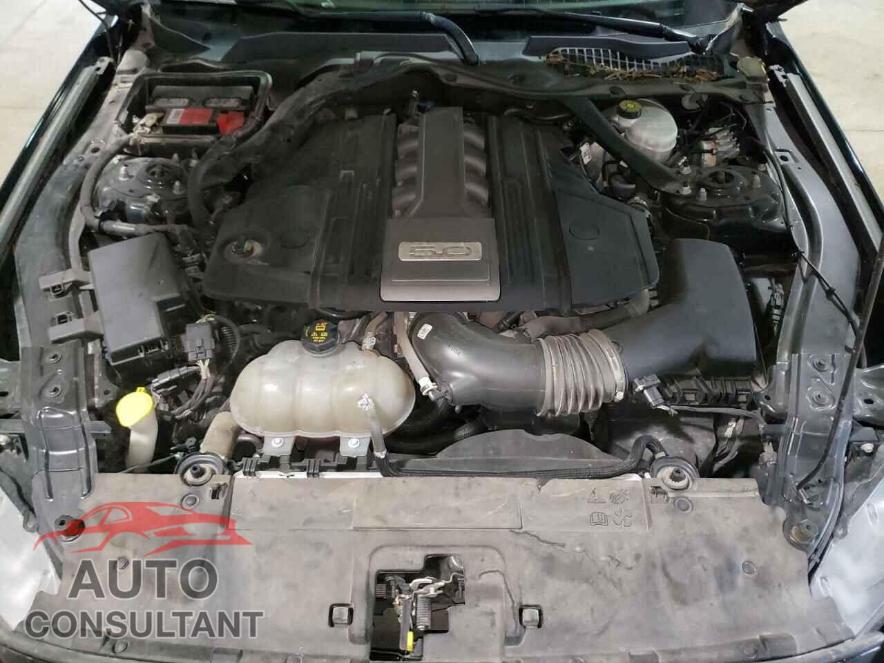 FORD MUSTANG 2018 - 1FA6P8CF1J5163075