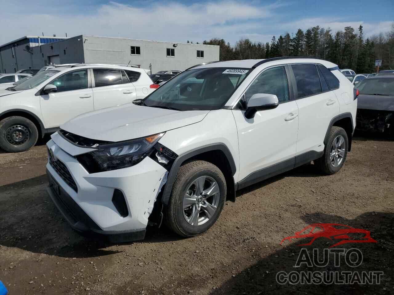 TOYOTA RAV4 2024 - 2T3BWRFV4RW230700