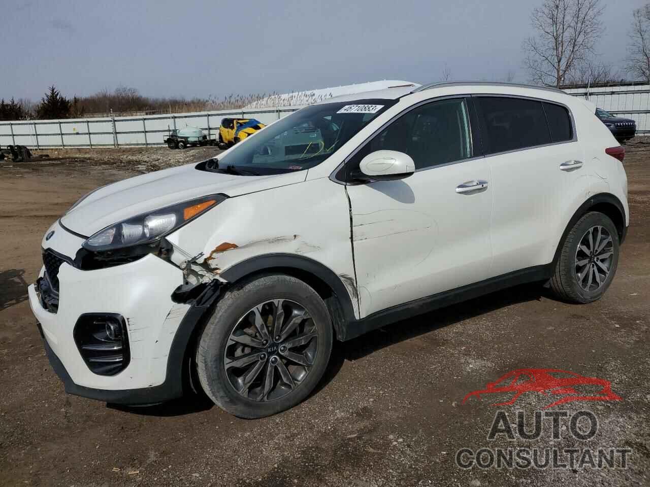 KIA SPORTAGE 2017 - KNDPN3AC7H7073024