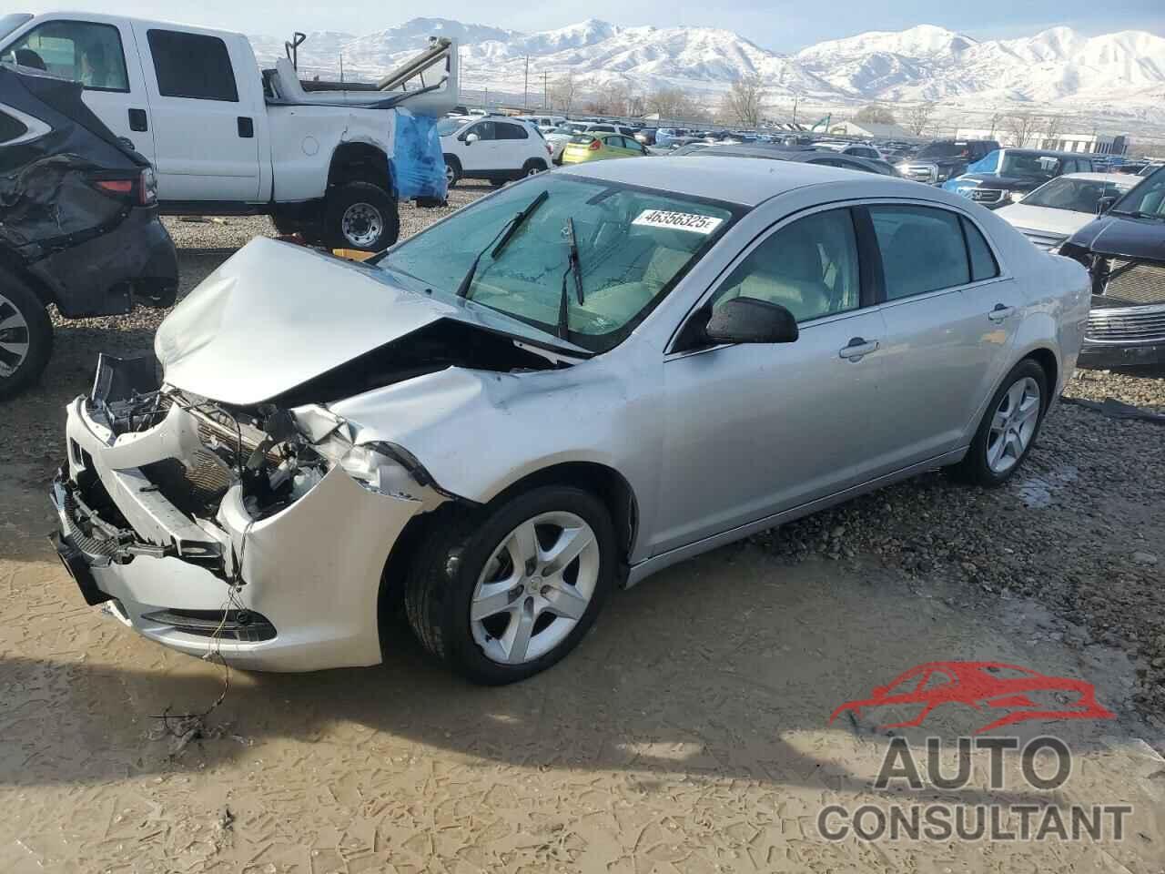 CHEVROLET MALIBU 2010 - 1G1ZA5E03AF253041