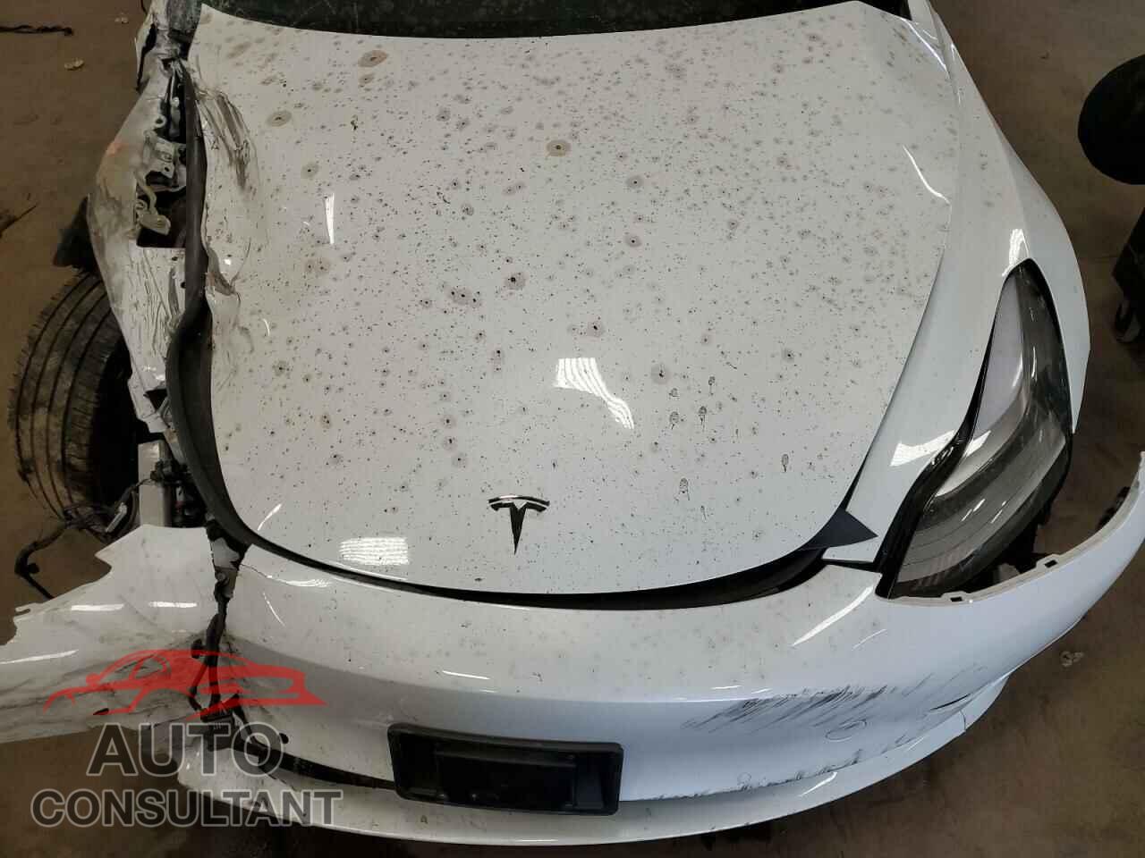 TESLA MODEL 3 2021 - 5YJ3E1EB3MF988283