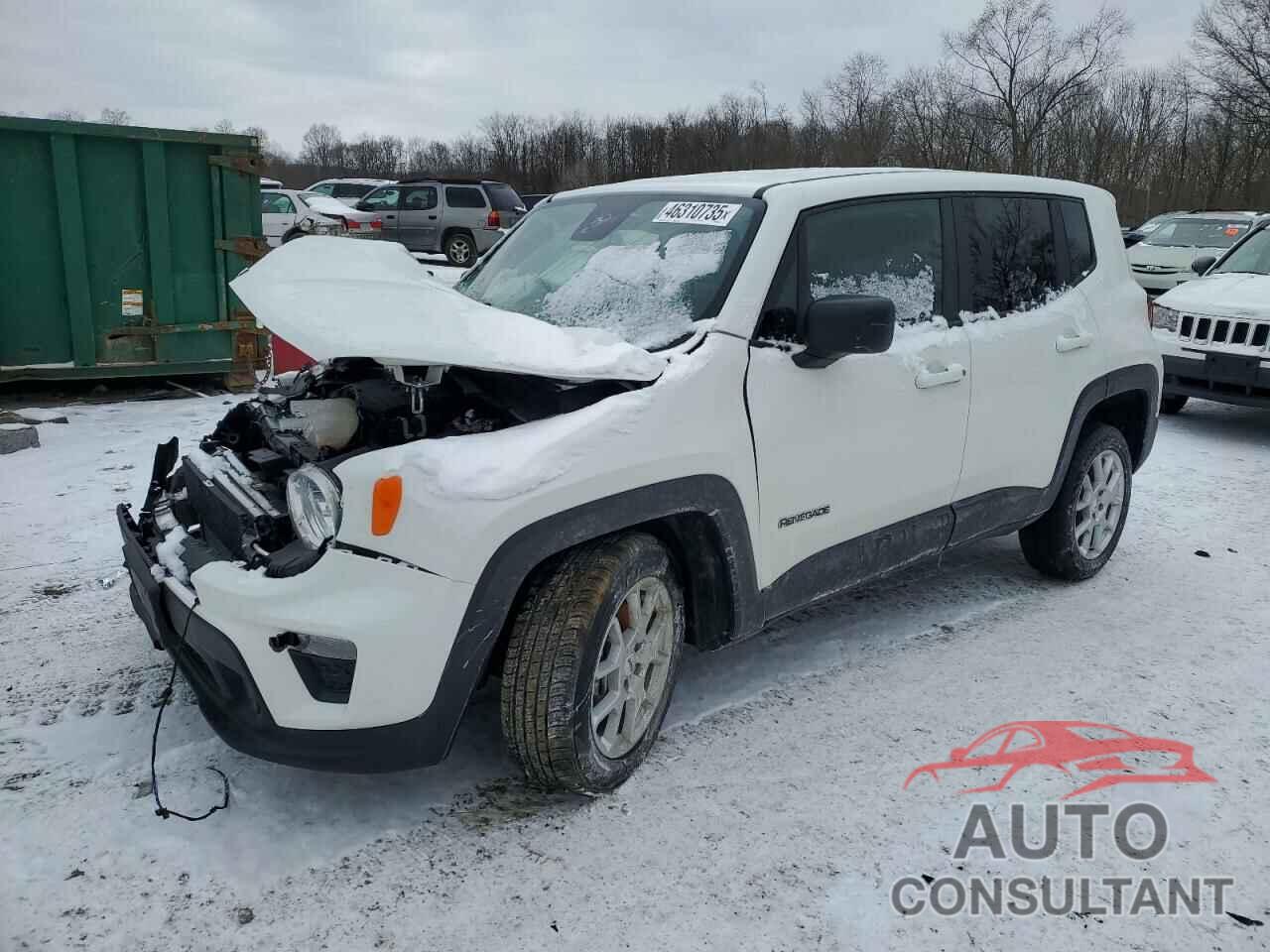 JEEP RENEGADE 2023 - ZACNJDB17PPP66275