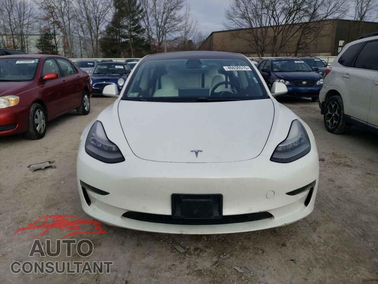 TESLA MODEL 3 2019 - 5YJ3E1EA6KF444817