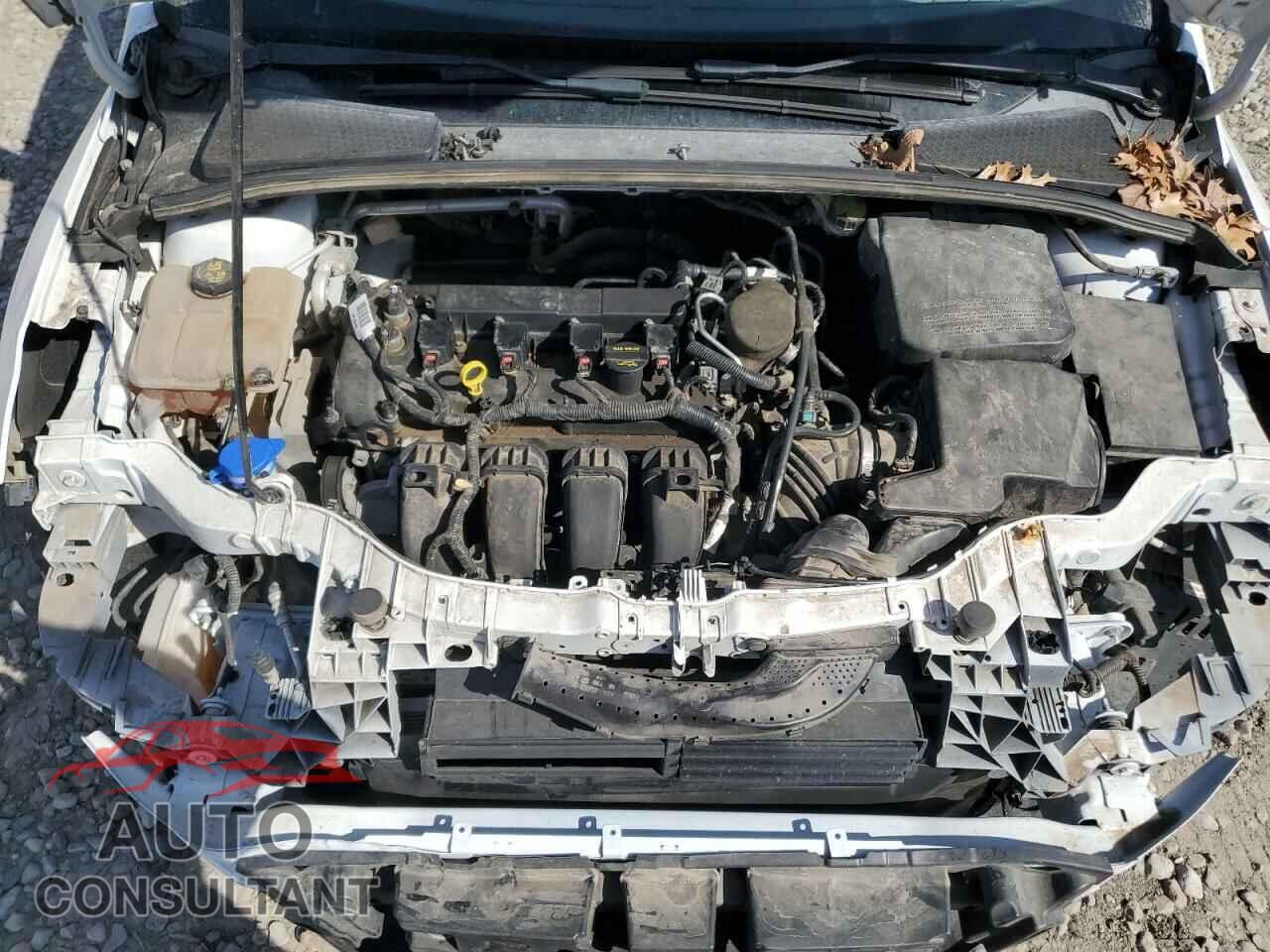 FORD FOCUS 2014 - 1FADP3F2XEL302009