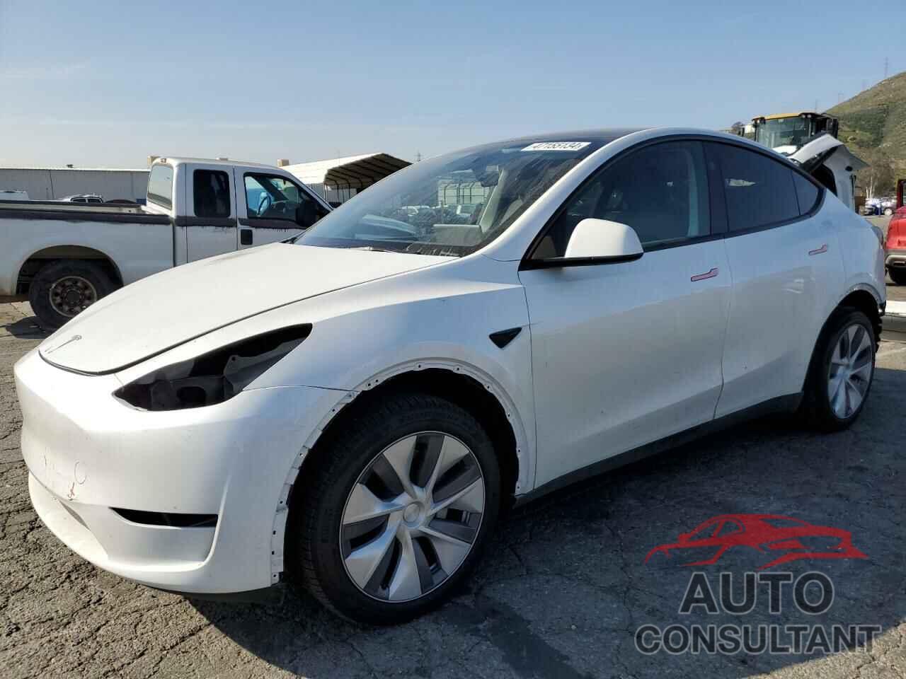 TESLA MODEL Y 2024 - 7SAYGDEE1RA225245