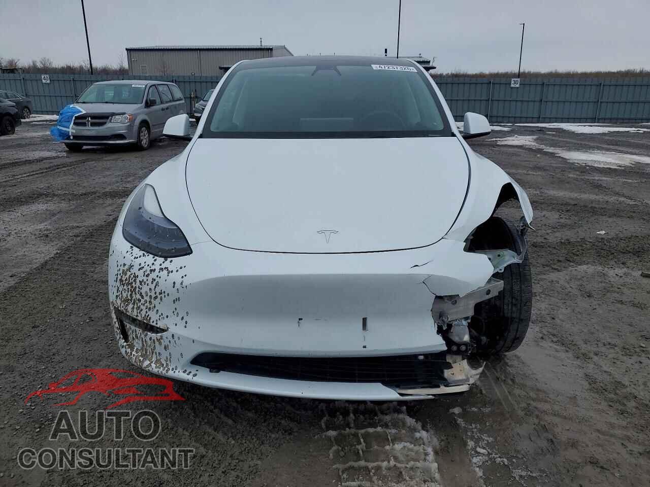 TESLA MODEL Y 2023 - LRWYGDFD7PC931312