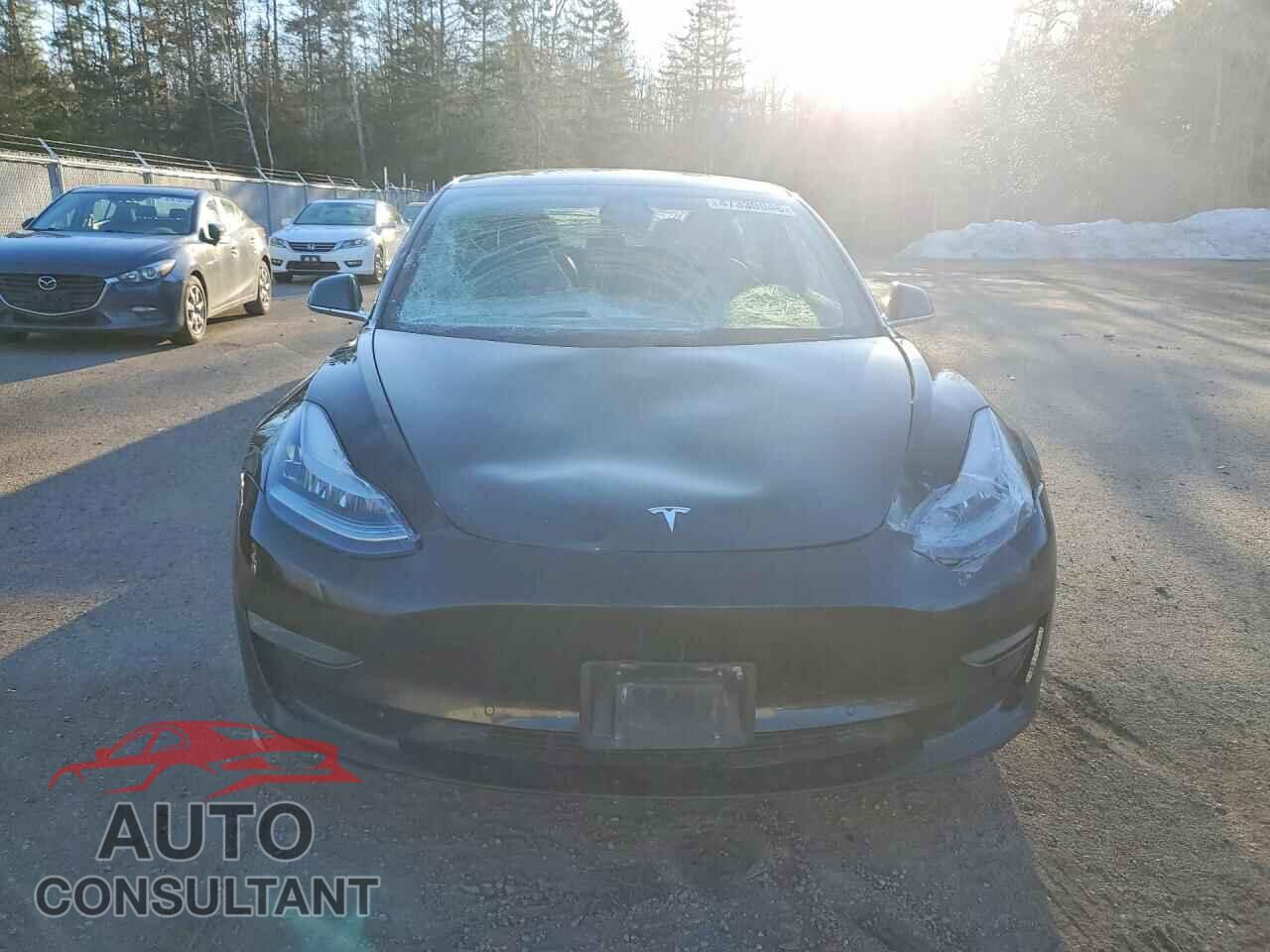 TESLA MODEL 3 2019 - 5YJ3E1EA3KF362012