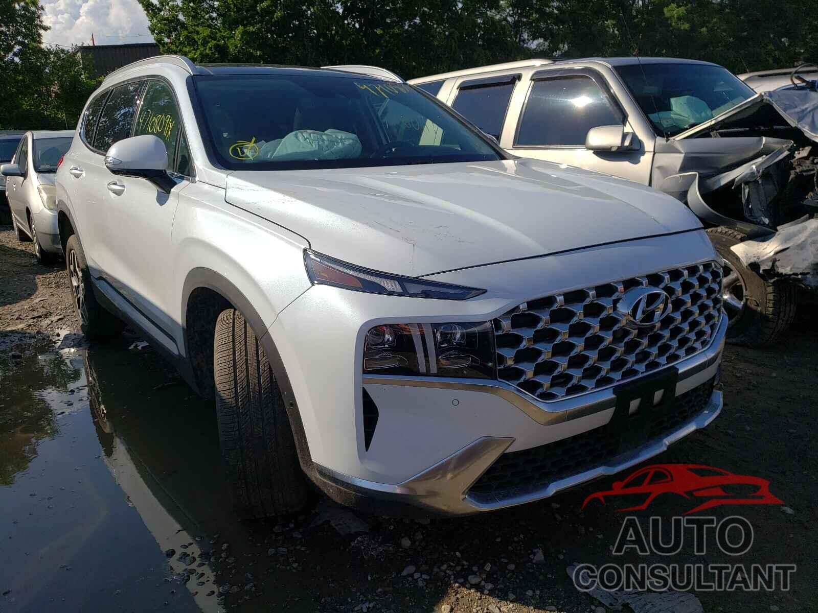 HYUNDAI SANTA FE 2021 - 5NMS4DAL4MH316388