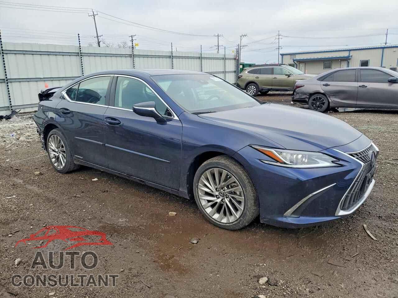 LEXUS ES300 2022 - 58AEA1C19NU021009