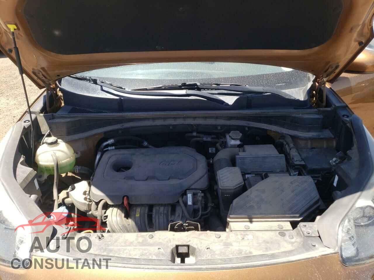 KIA SPORTAGE 2017 - KNDPM3ACXH7061663