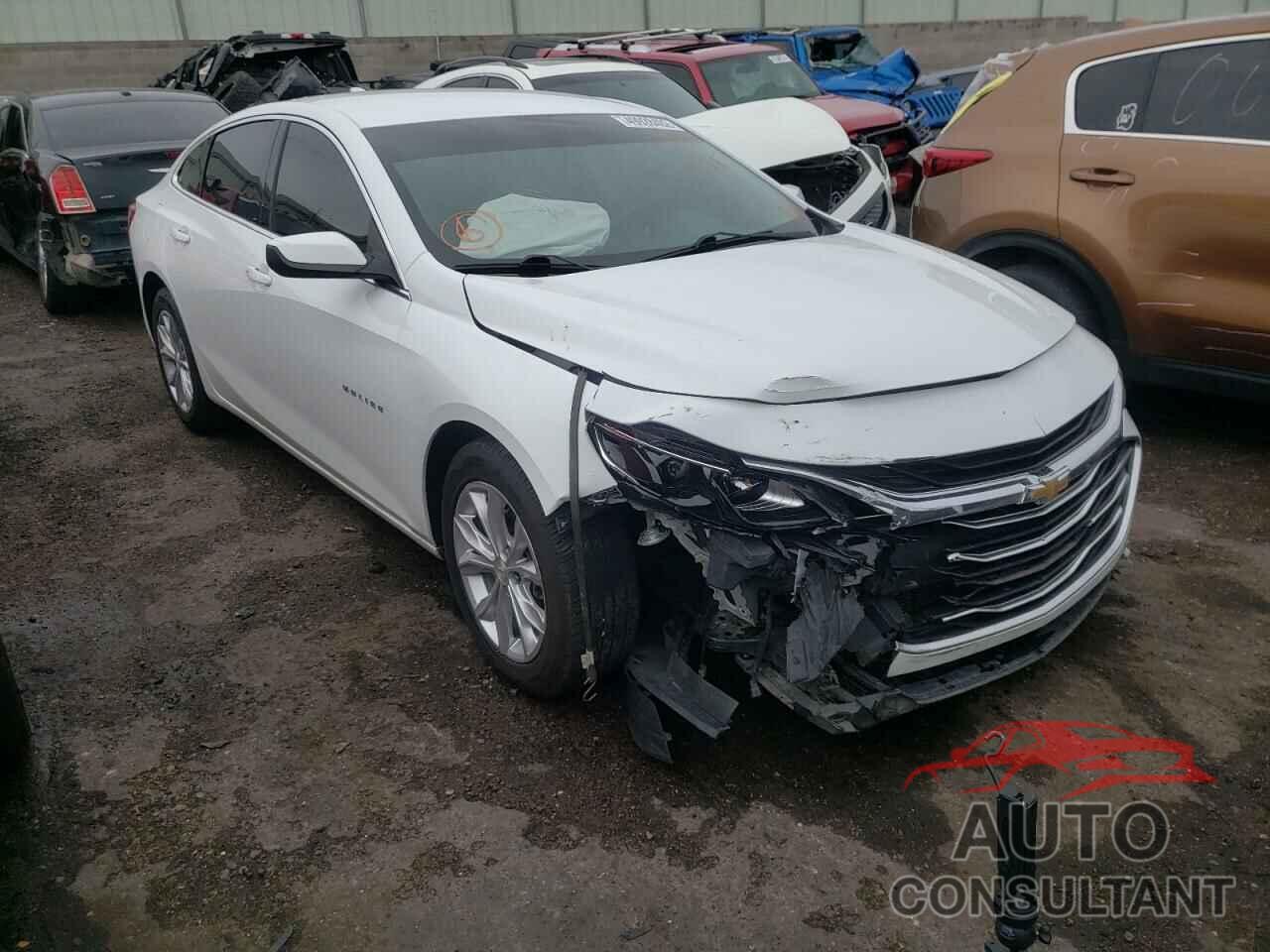 CHEVROLET MALIBU 2019 - 1G1ZD5ST9KF166008