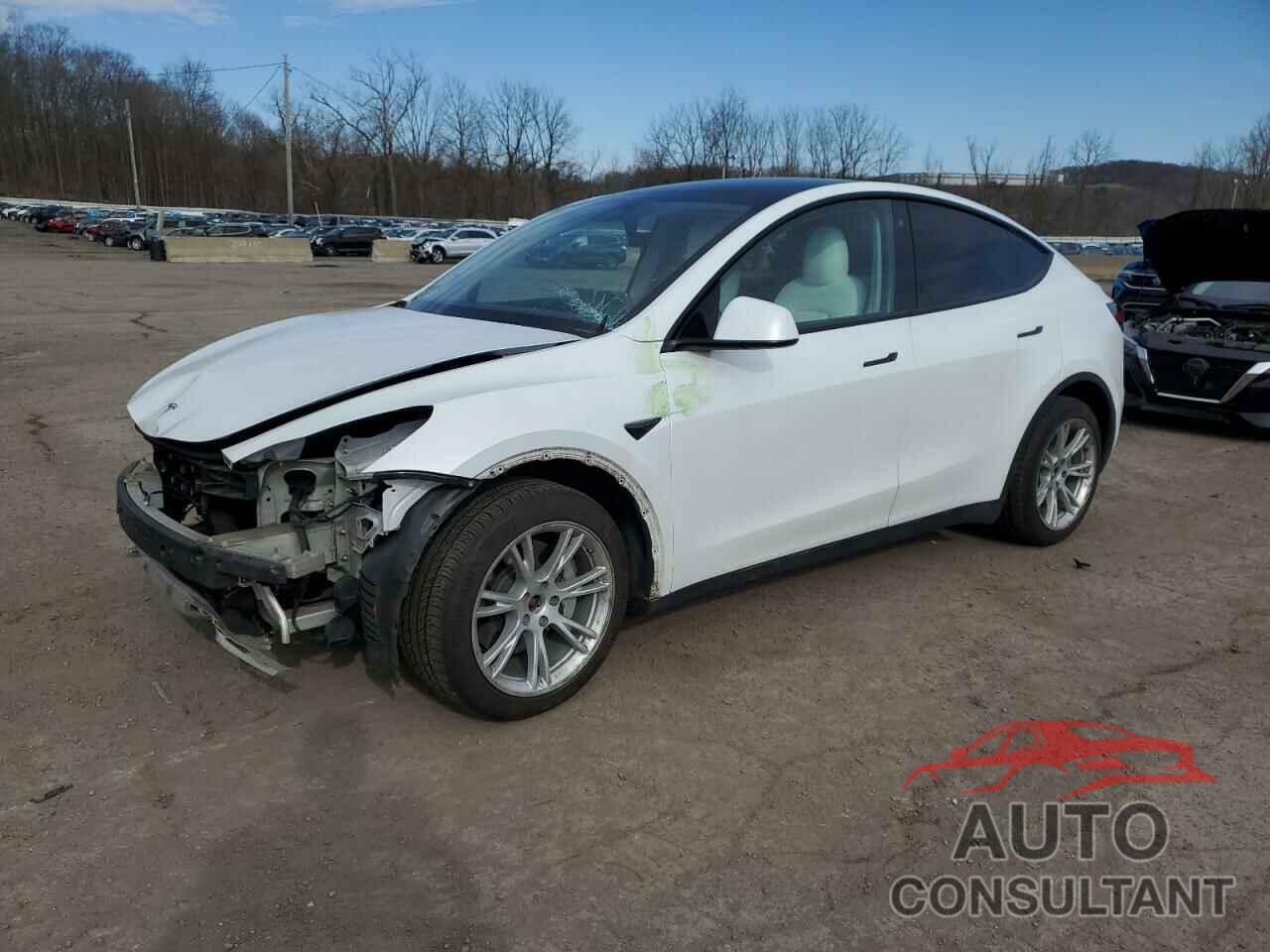 TESLA MODEL Y 2021 - 5YJYGDEEXMF063219