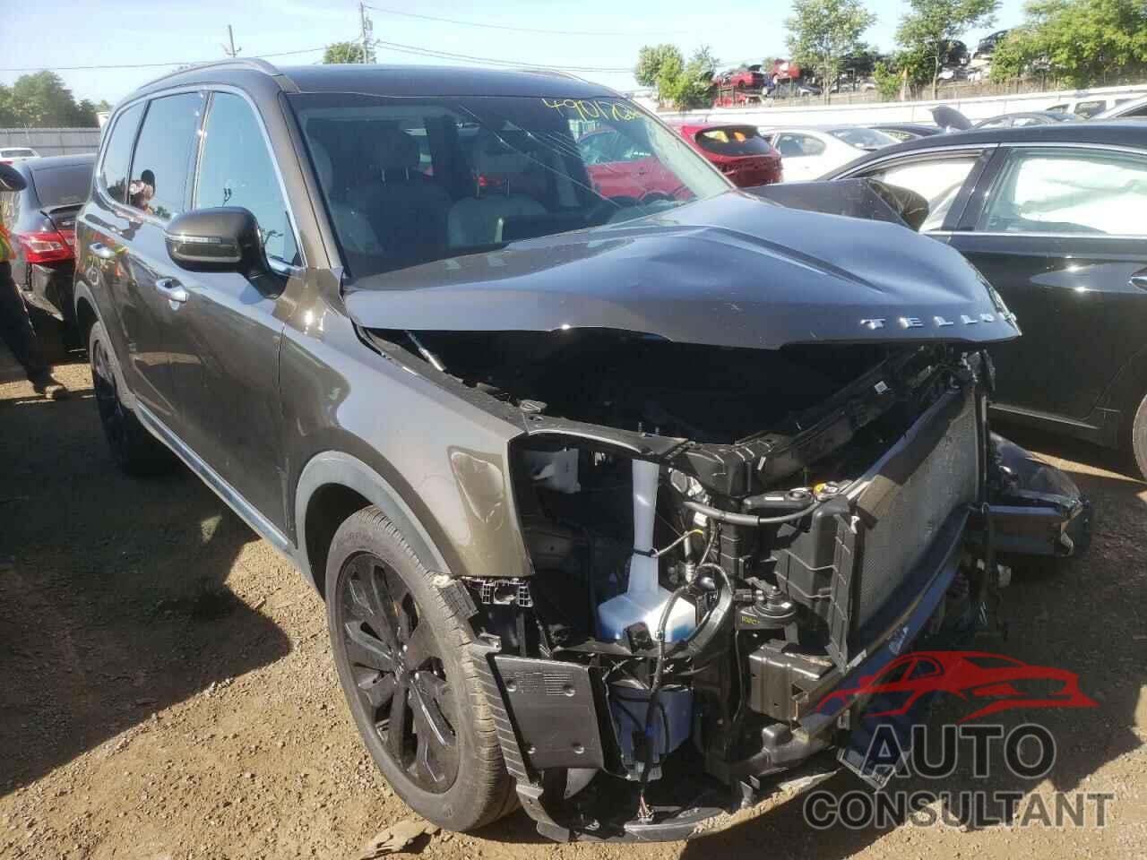 KIA TELLURIDE 2021 - 5XYP6DHCXMG103882