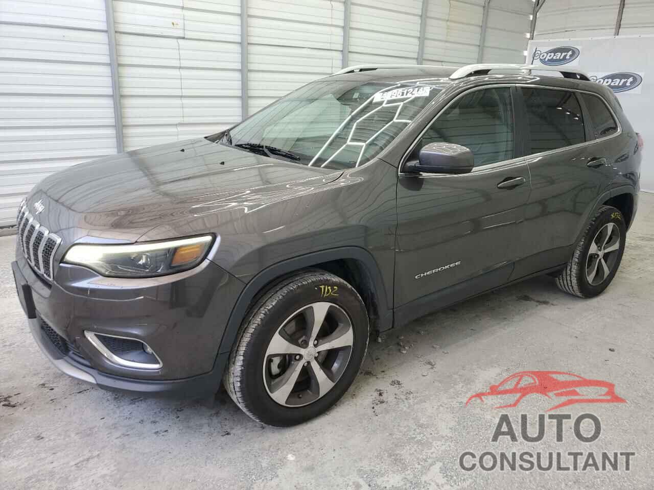 JEEP GRAND CHER 2019 - 1C4PJMDX1KD161754