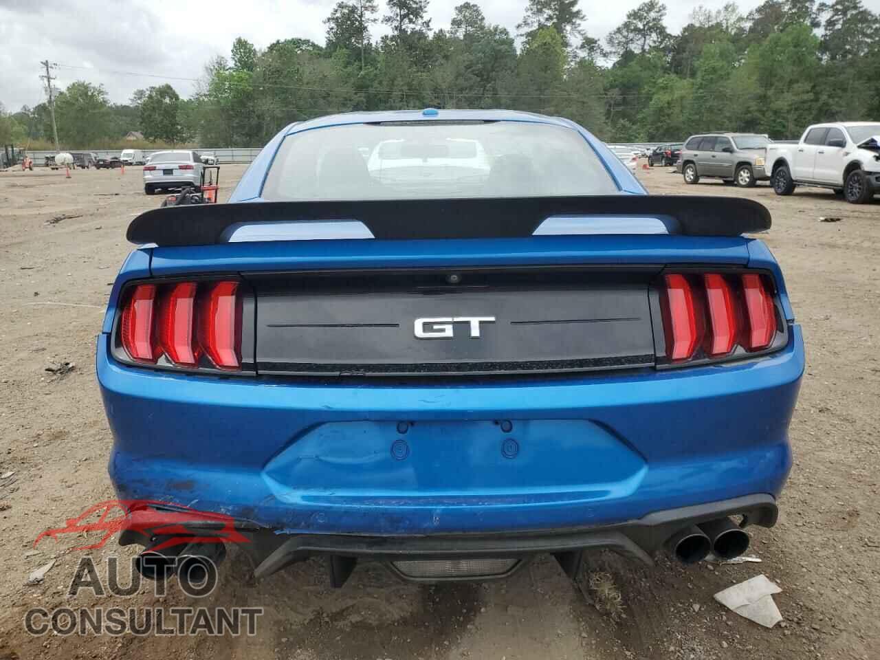 FORD MUSTANG 2019 - 1FA6P8CF2K5129406