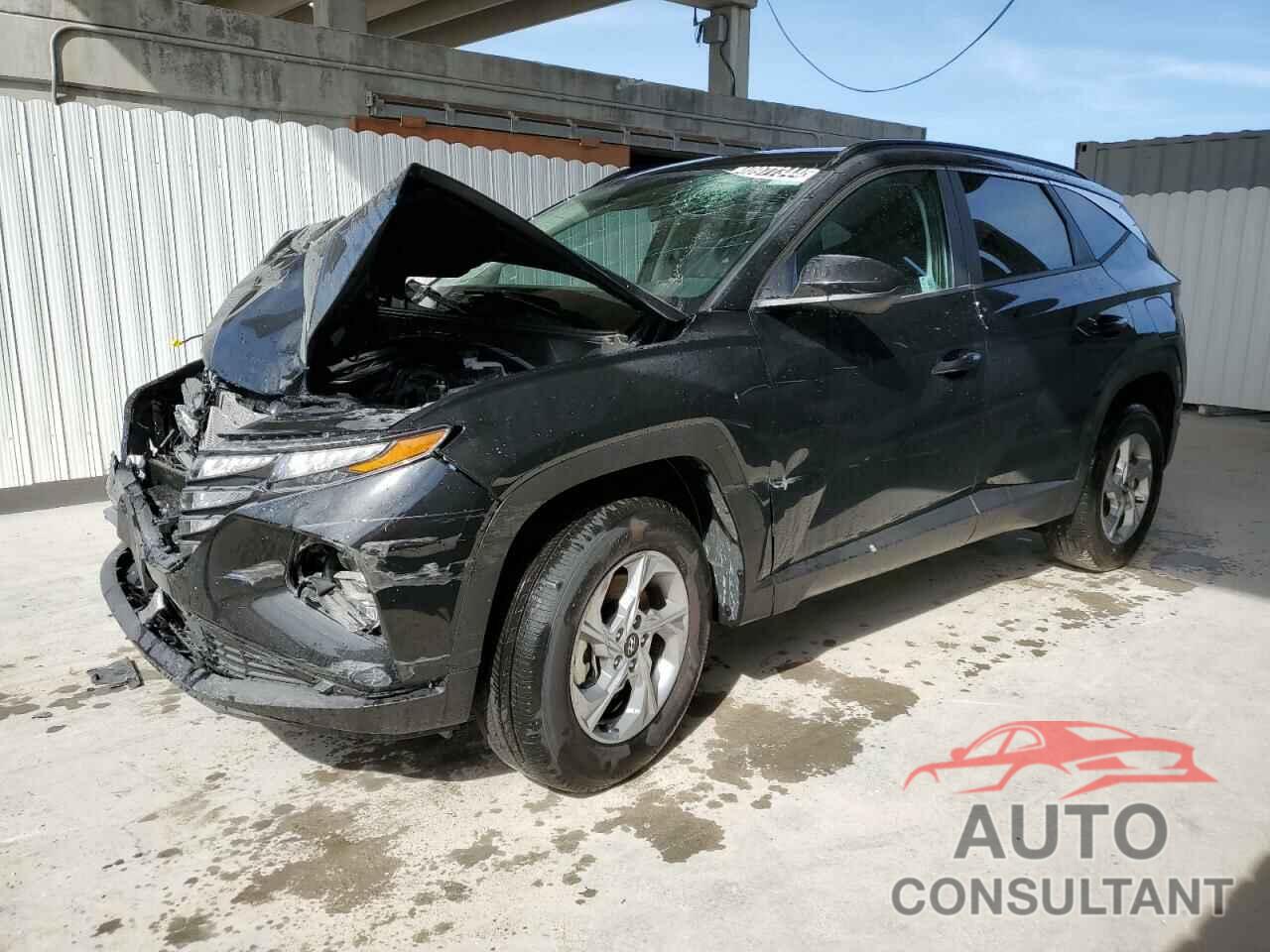 HYUNDAI TUCSON 2024 - 5NMJBCDEXRH347774