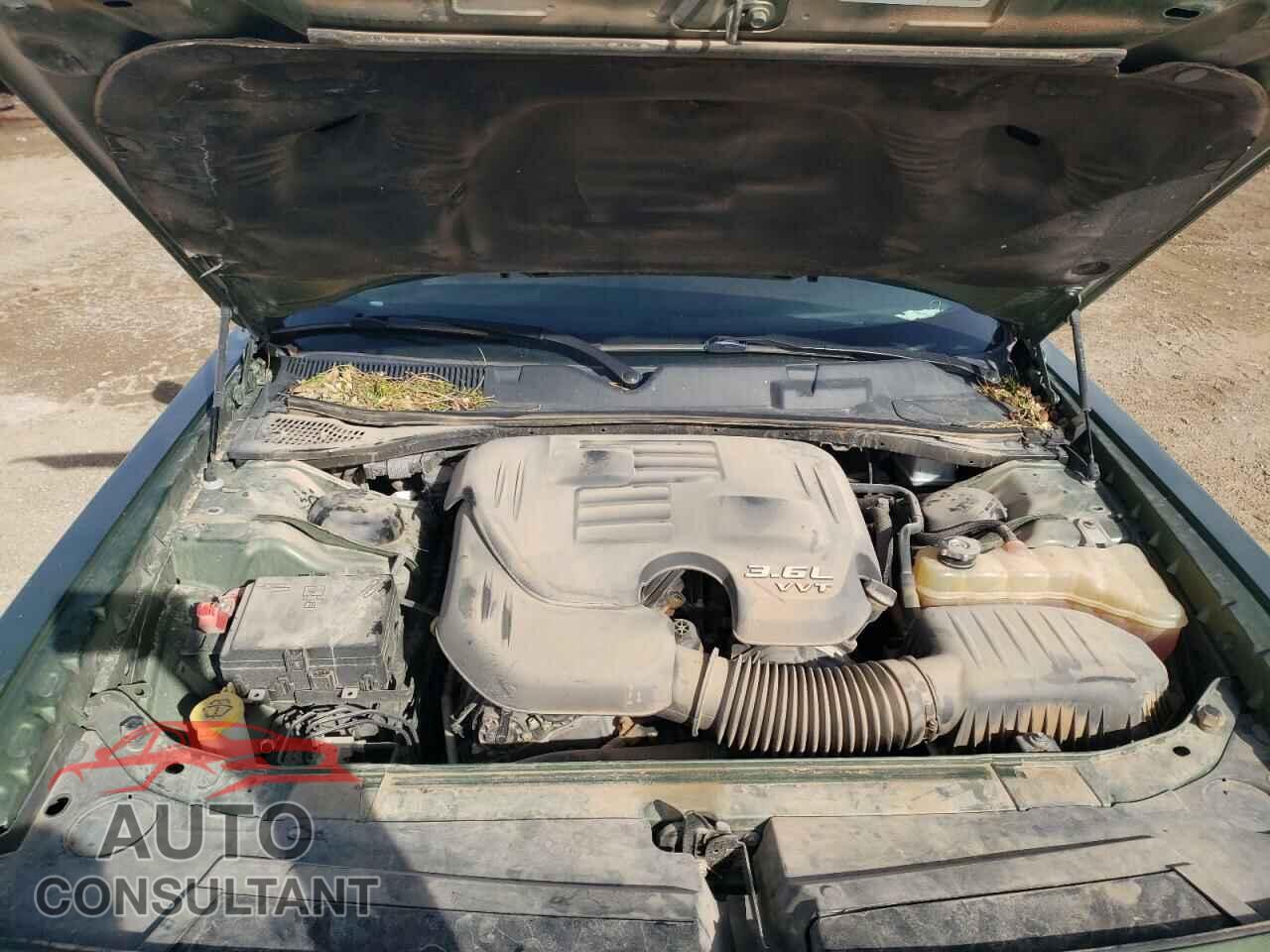 DODGE CHALLENGER 2019 - 2C3CDZAG2KH602743