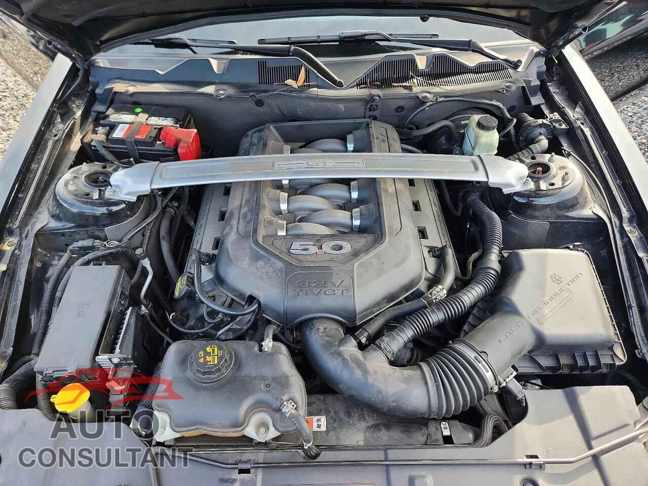 FORD MUSTANG 2014 - 1ZVBP8FF4E5245910