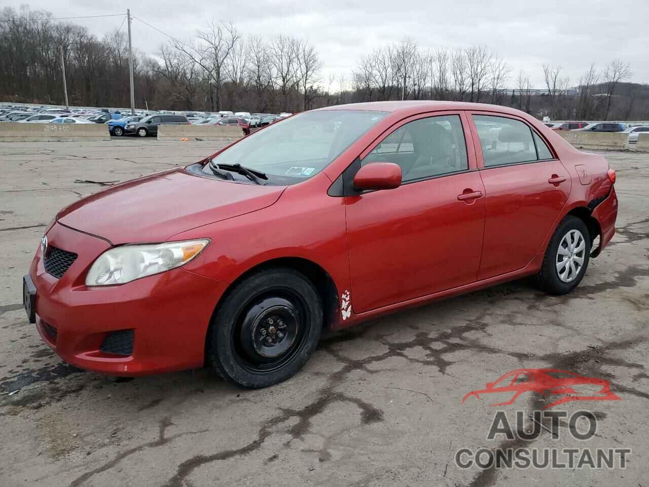 TOYOTA COROLLA 2010 - 2T1BU4EE9AC310454