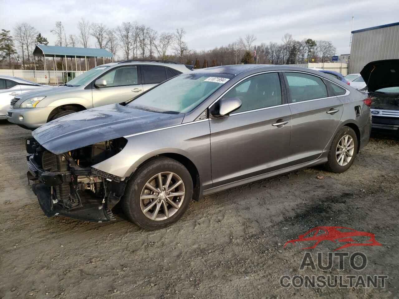 HYUNDAI SONATA 2019 - 5NPE24AF4KH736844