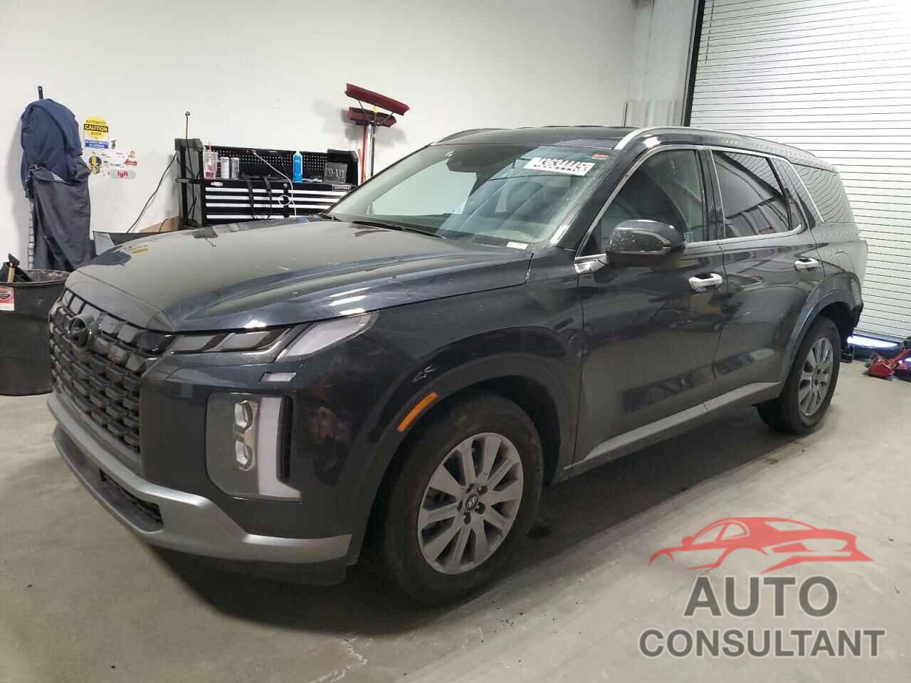 HYUNDAI PALISADE 2025 - KM8R24GE7SU843047
