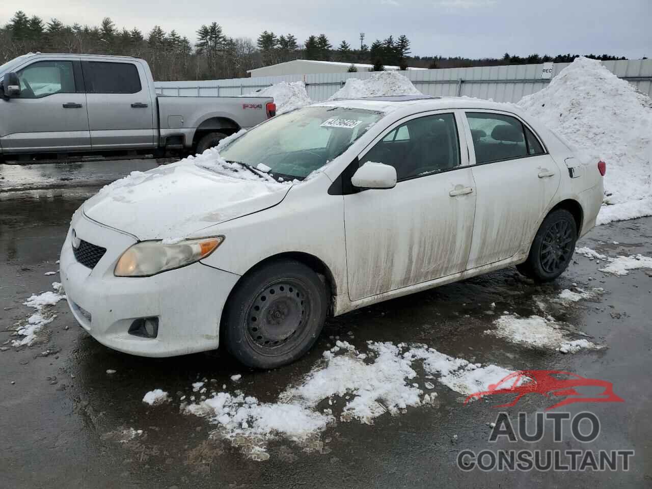 TOYOTA COROLLA 2010 - 2T1BU4EE1AC351287