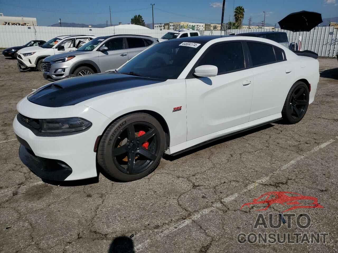 DODGE CHARGER 2019 - 2C3CDXGJ9KH530477