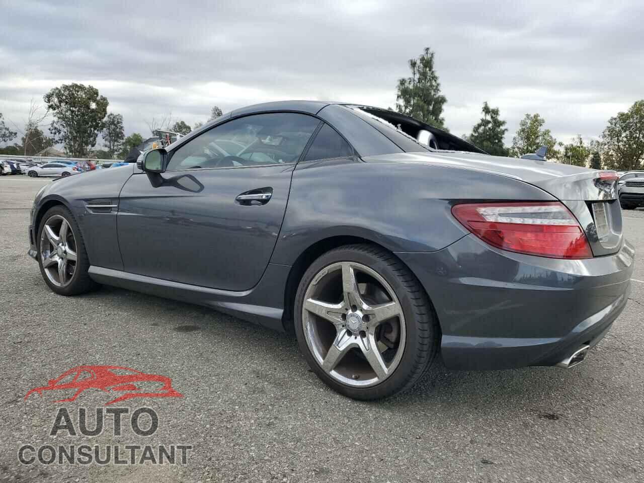 MERCEDES-BENZ SLK-CLASS 2012 - WDDPK5HA9CF024663