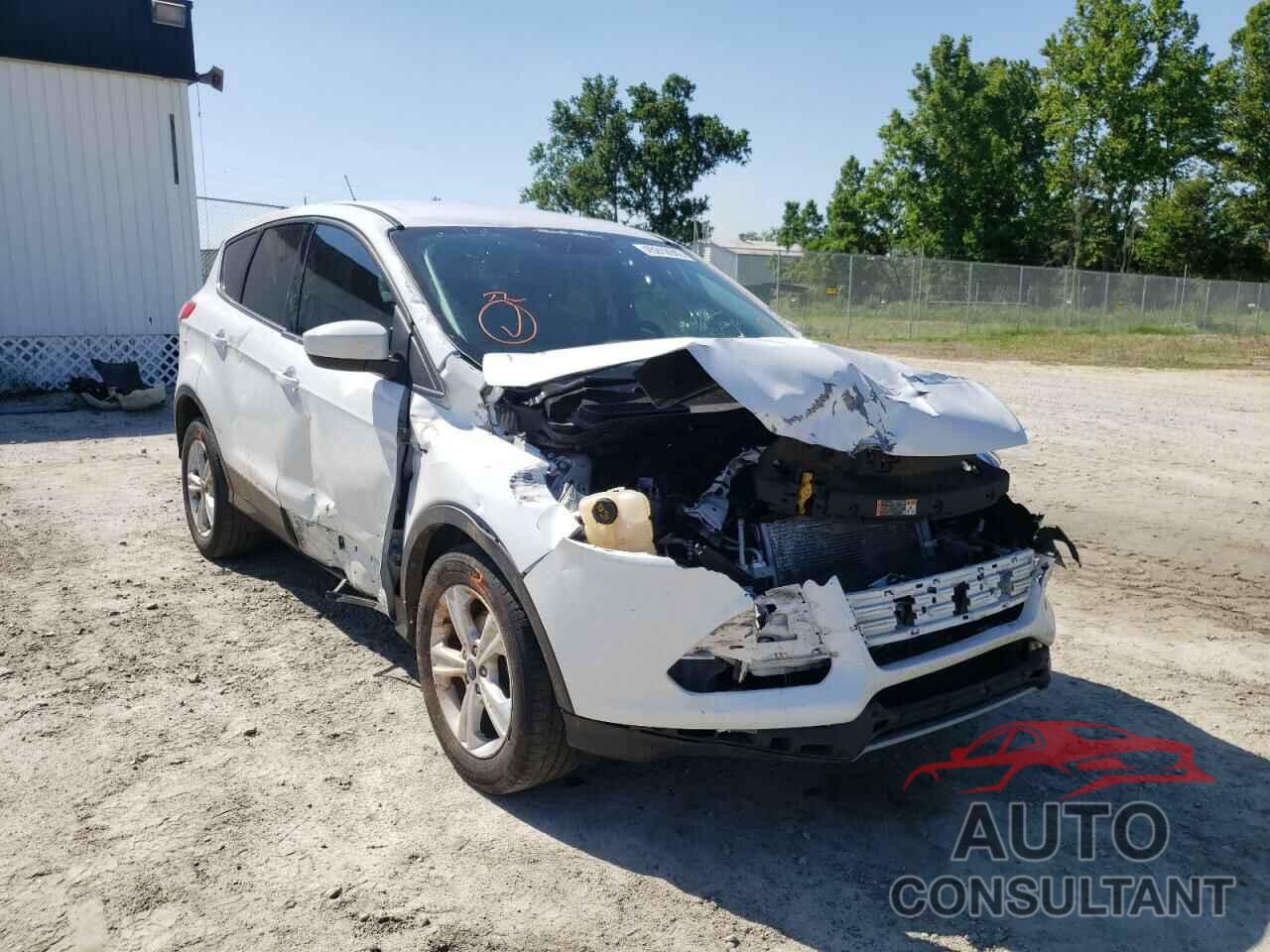 FORD ESCAPE 2016 - 1FMCU0G70GUC34464