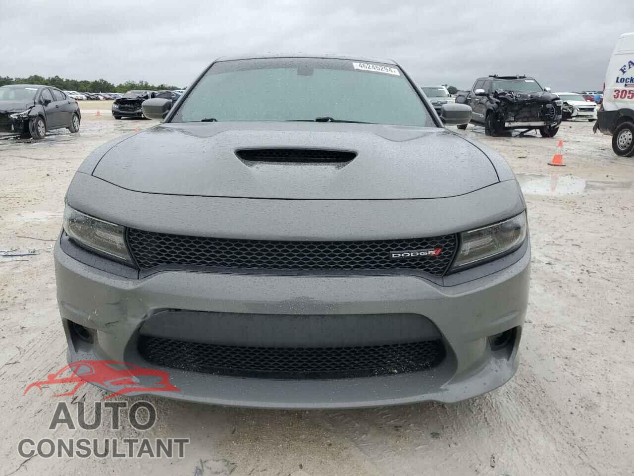 DODGE CHARGER 2019 - 2C3CDXHGXKH697191
