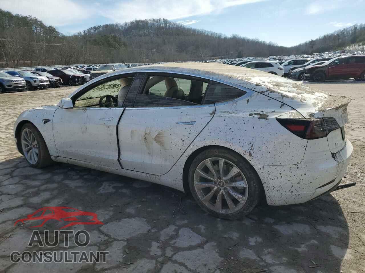 TESLA MODEL 3 2019 - 5YJ3E1EA3KF509087
