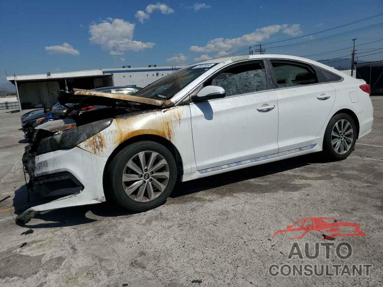 HYUNDAI SONATA 2017 - 5NPE34AF9HH523801