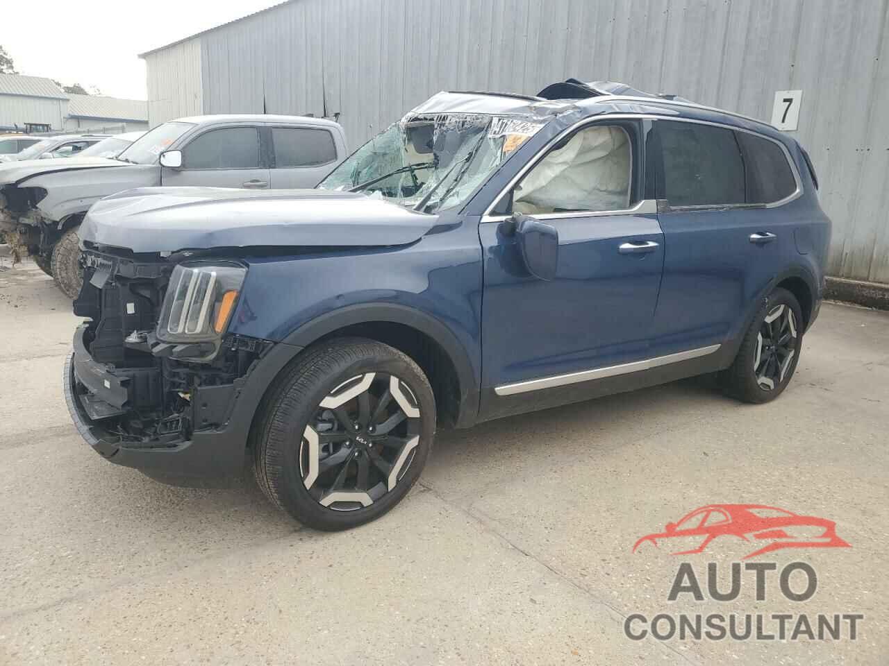 KIA TELLURIDE 2024 - 5XYP6DGC2RG465875