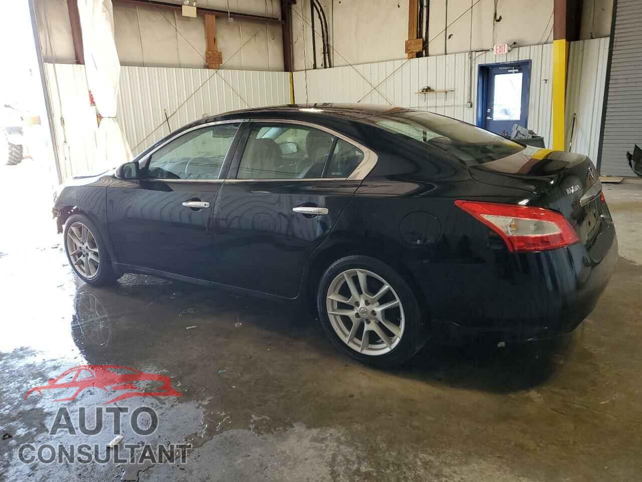 NISSAN MAXIMA 2009 - 1N4AA51E19C836667