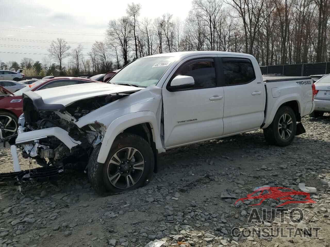 TOYOTA TACOMA 2023 - 3TMCZ5AN5PM597096