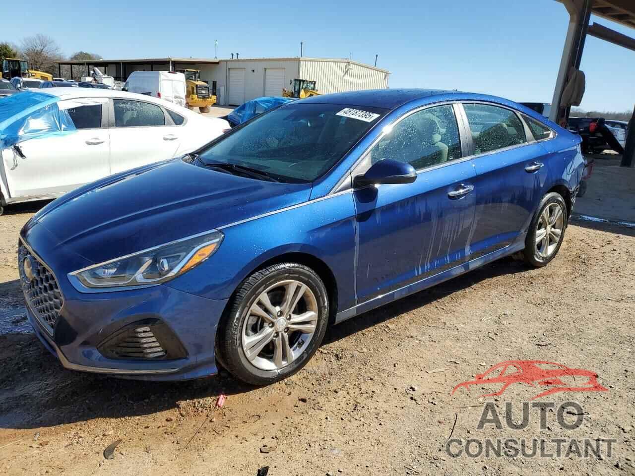 HYUNDAI SONATA 2019 - 5NPE34AF2KH772982
