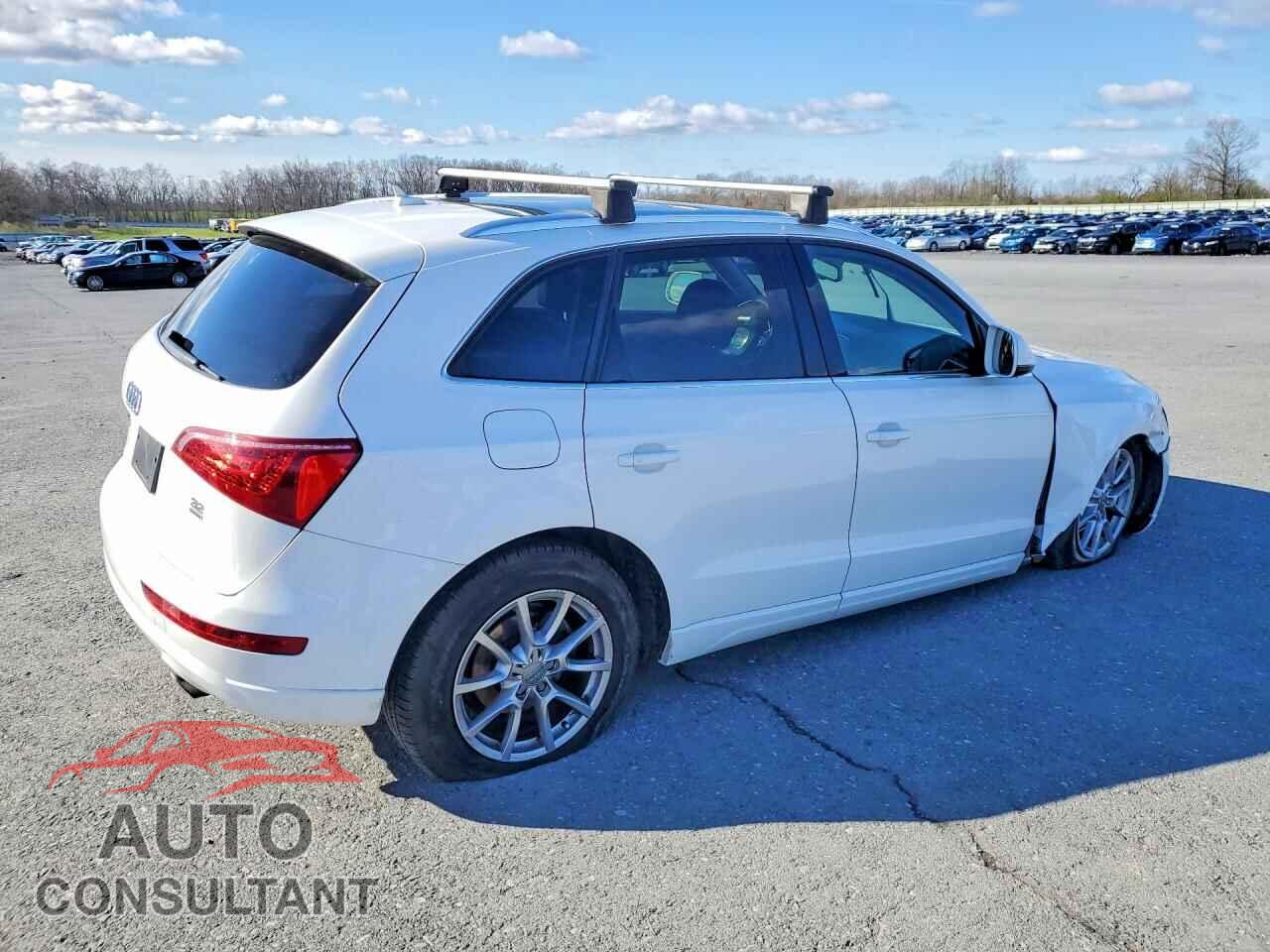 AUDI Q5 2010 - WA1LKAFP2AA044377