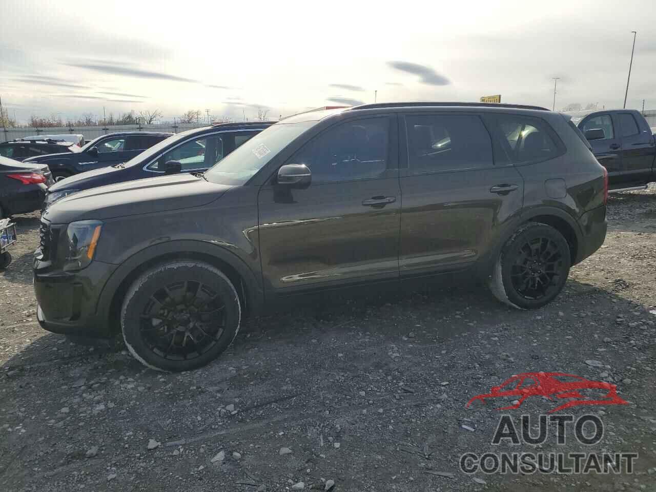 KIA TELLURIDE 2021 - 5XYP3DHCXMG189526