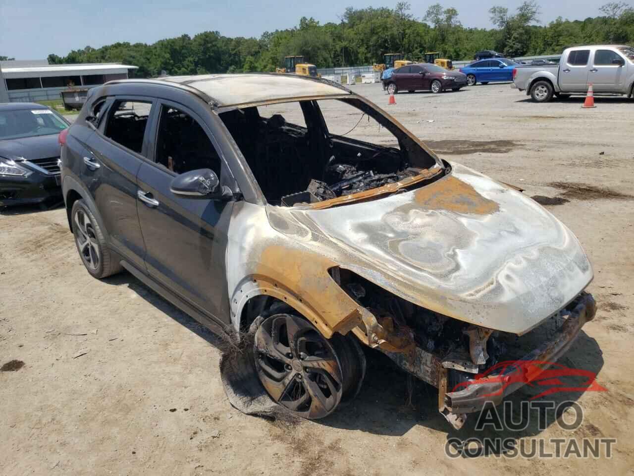 HYUNDAI TUCSON 2016 - KM8J33A26GU053099
