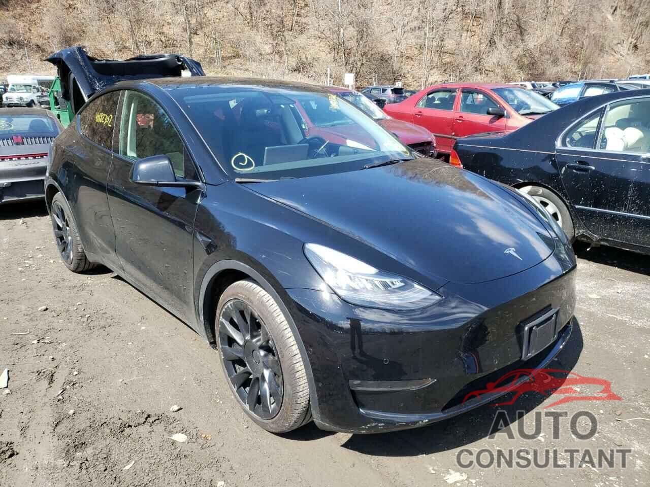 TESLA MODEL Y 2021 - 5YJYGDEE6MF199850