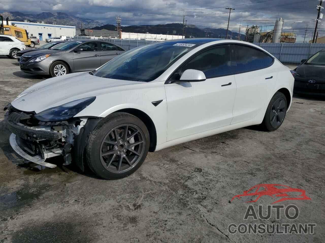 TESLA MODEL 3 2021 - 5YJ3E1EA3MF031711