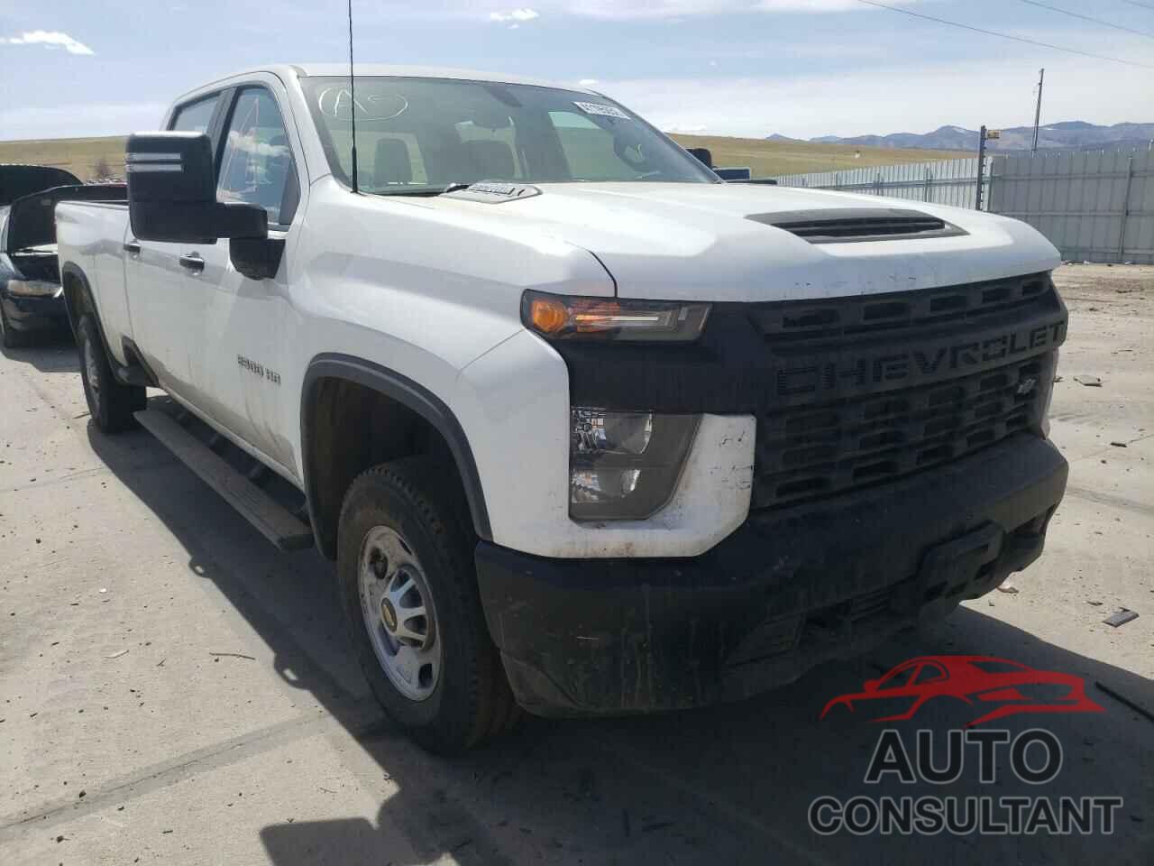 CHEVROLET SILVERADO 2020 - 1GC4YLEY3LF317797