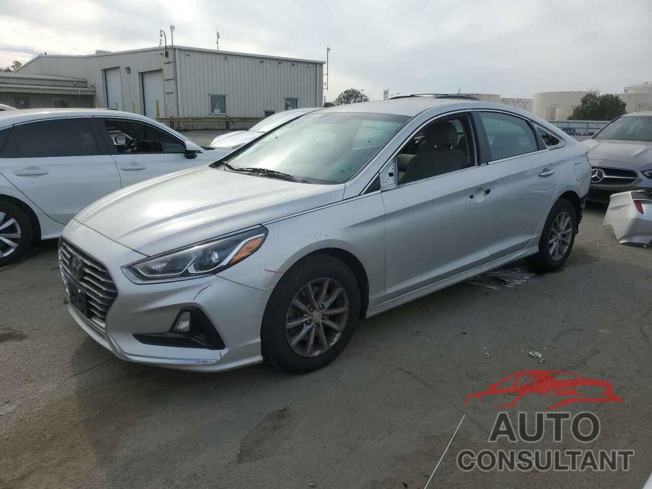 HYUNDAI SONATA 2019 - 5NPE24AF9KH767703