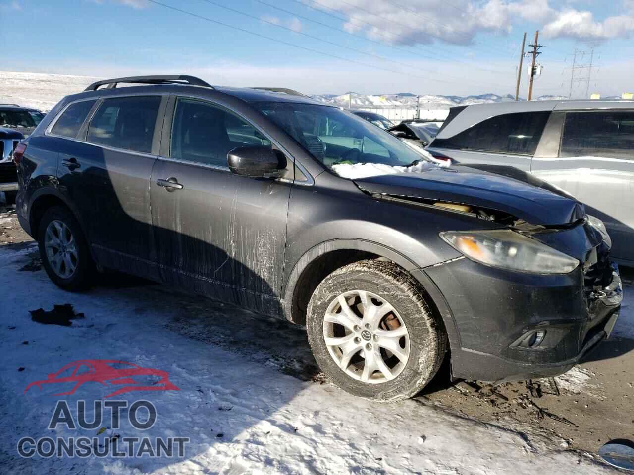 MAZDA CX-9 2013 - JM3TB3CA1D0405116