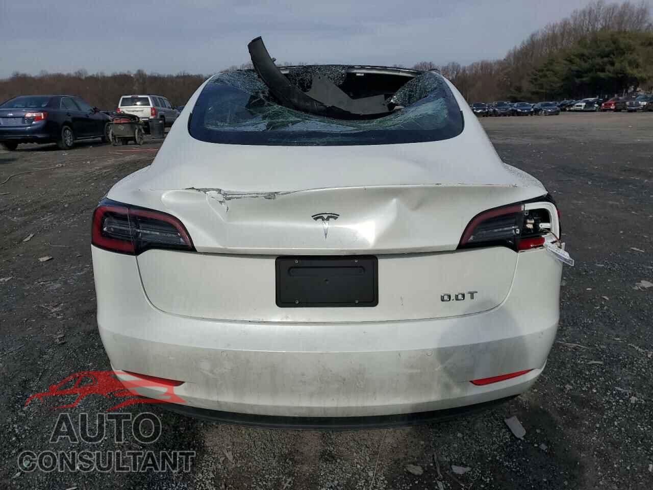 TESLA MODEL 3 2020 - 5YJ3E1EA2LF800097