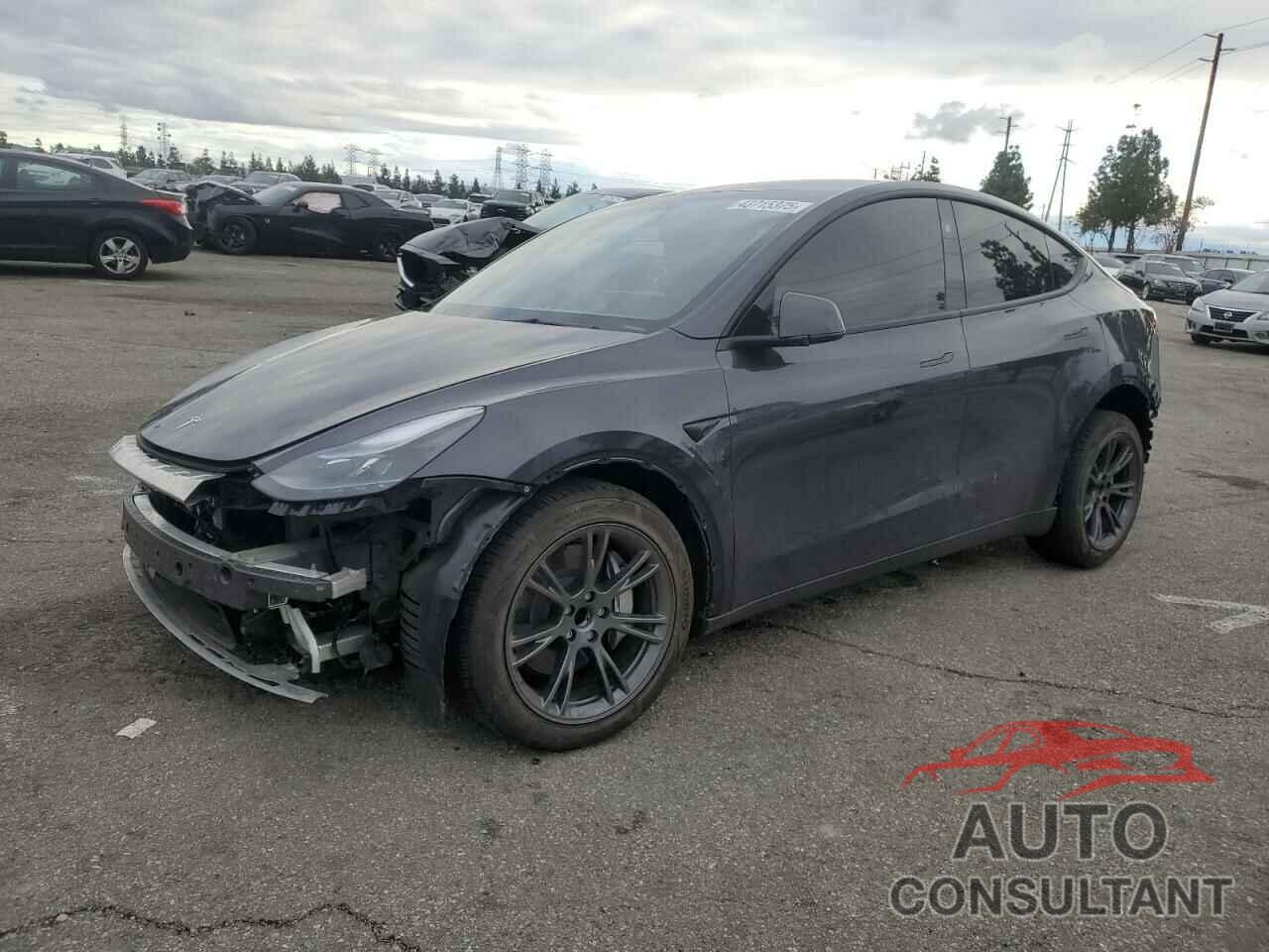 TESLA MODEL Y 2024 - 7SAYGDED8RF132426