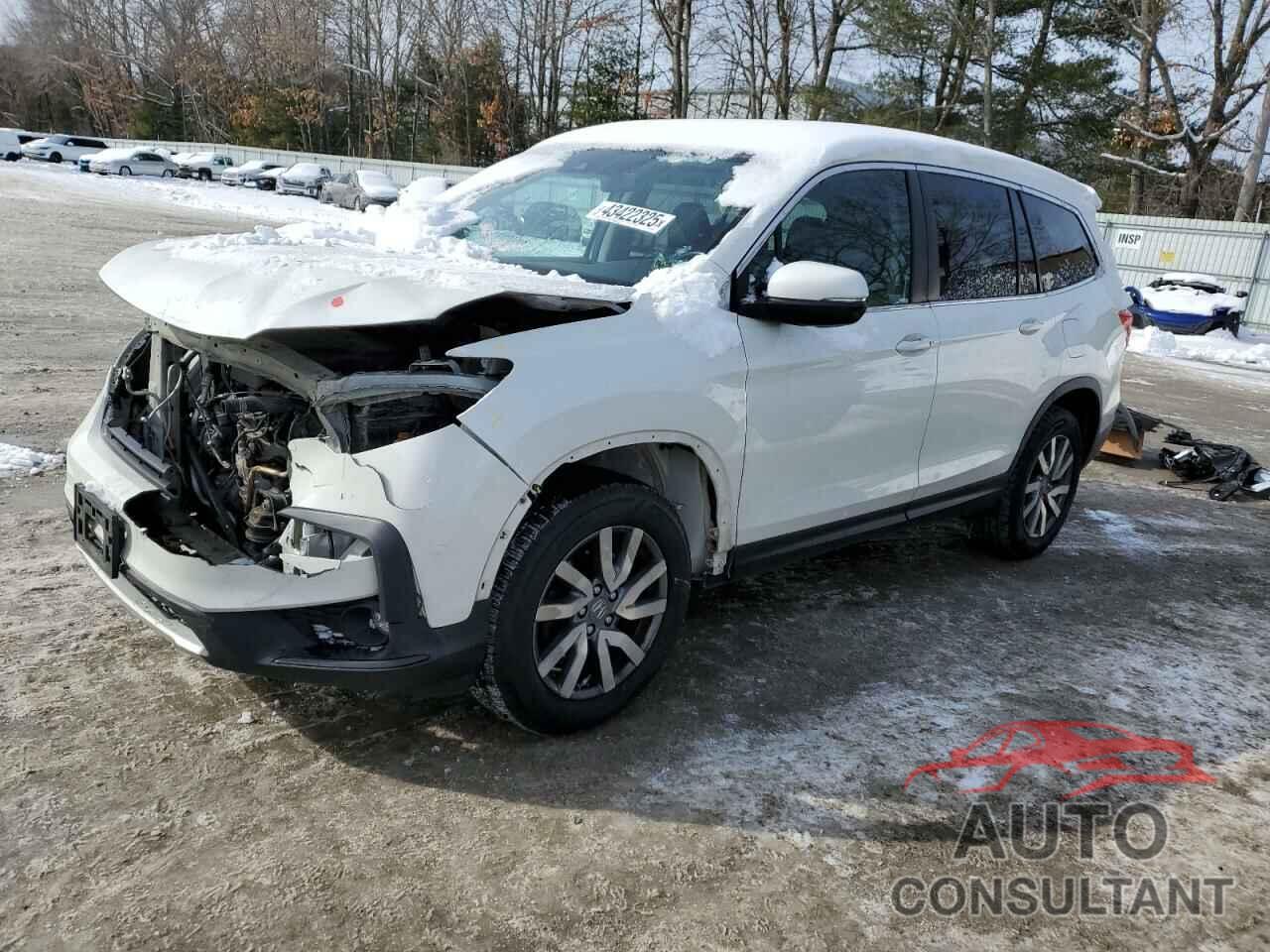 HONDA PILOT 2019 - 5FNYF6H5XKB084238