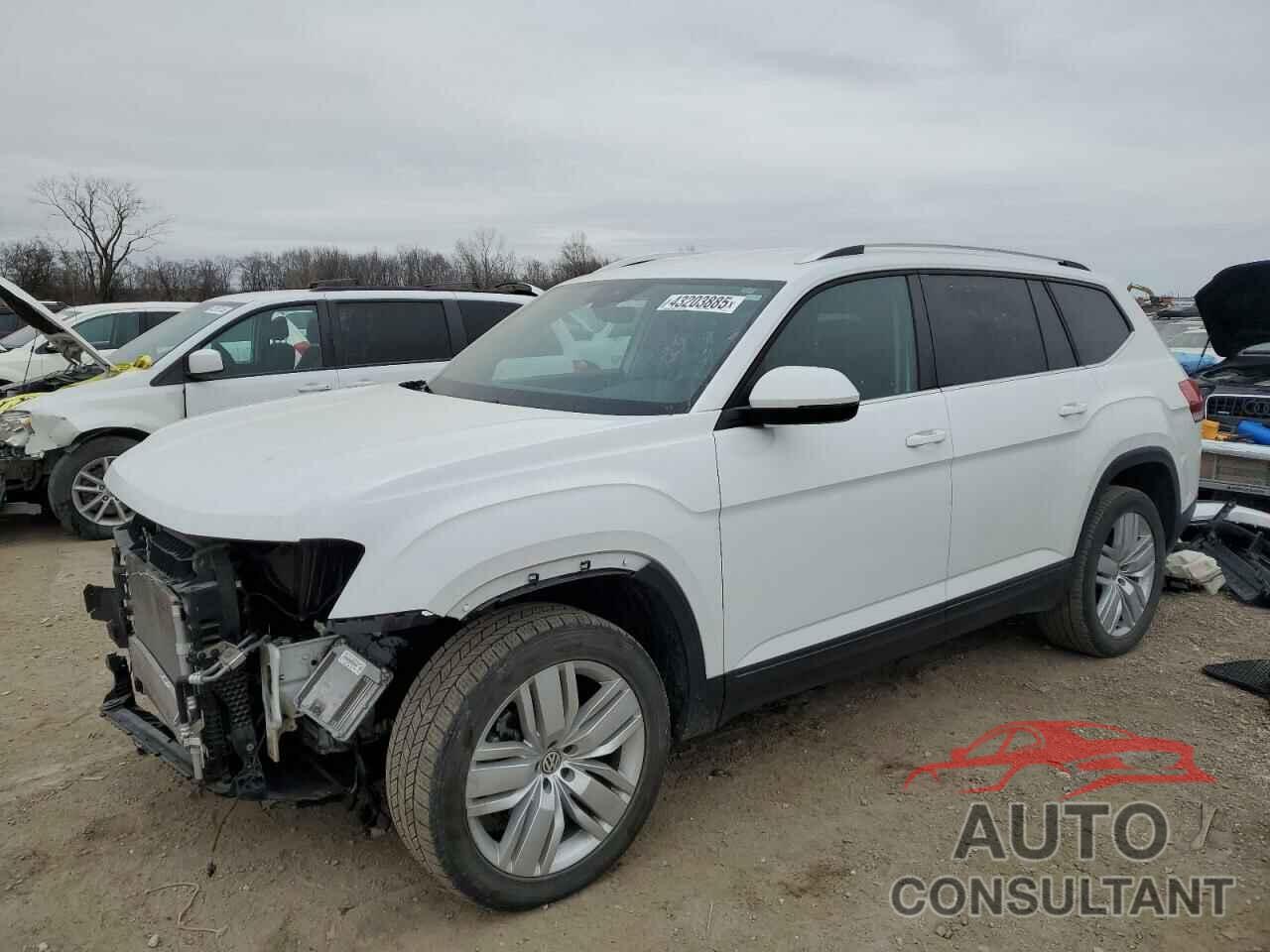 VOLKSWAGEN ATLAS 2019 - 1V2UR2CA8KC565782