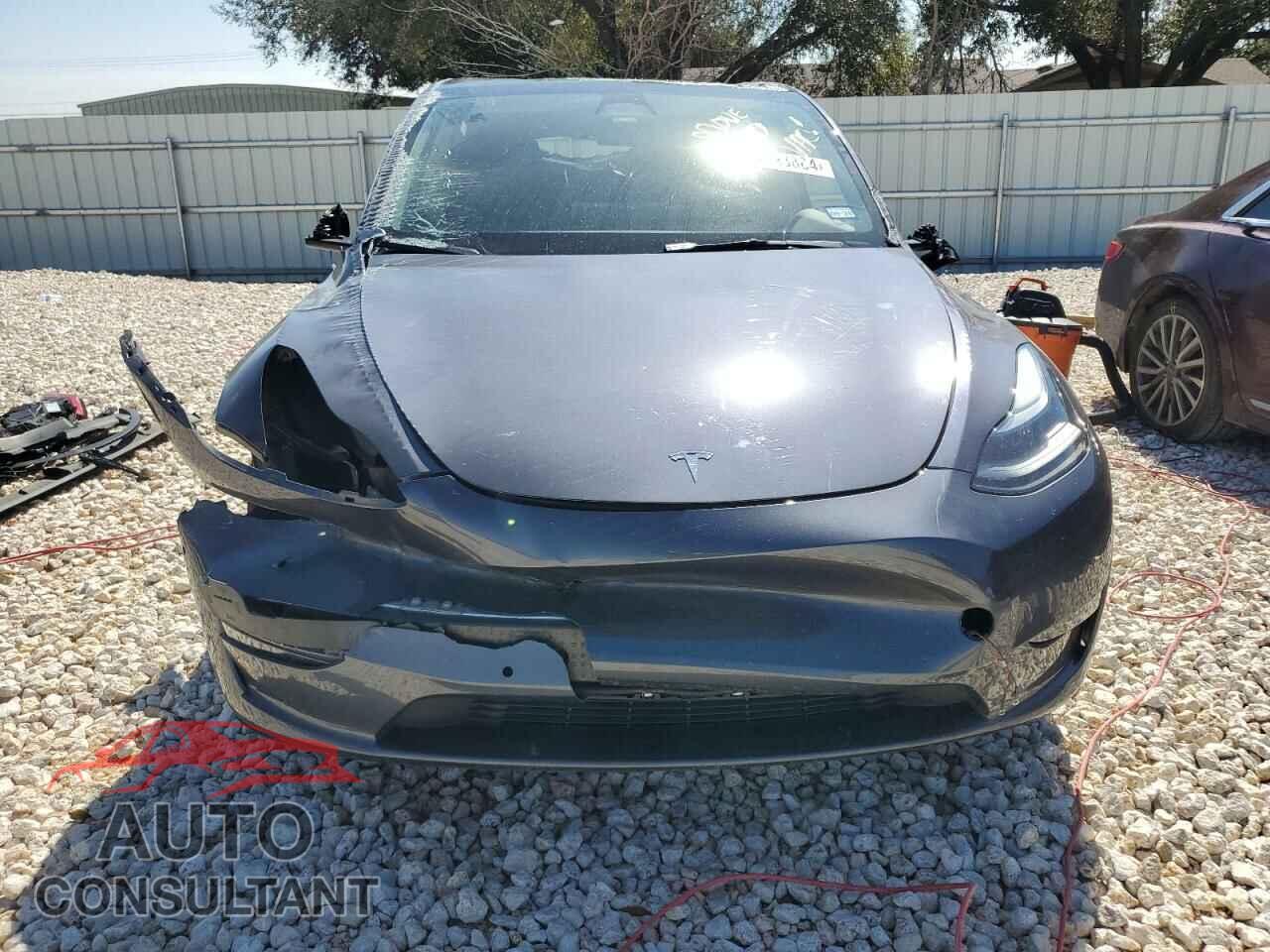 TESLA MODEL Y 2022 - 7SAYGDEF0NF539619